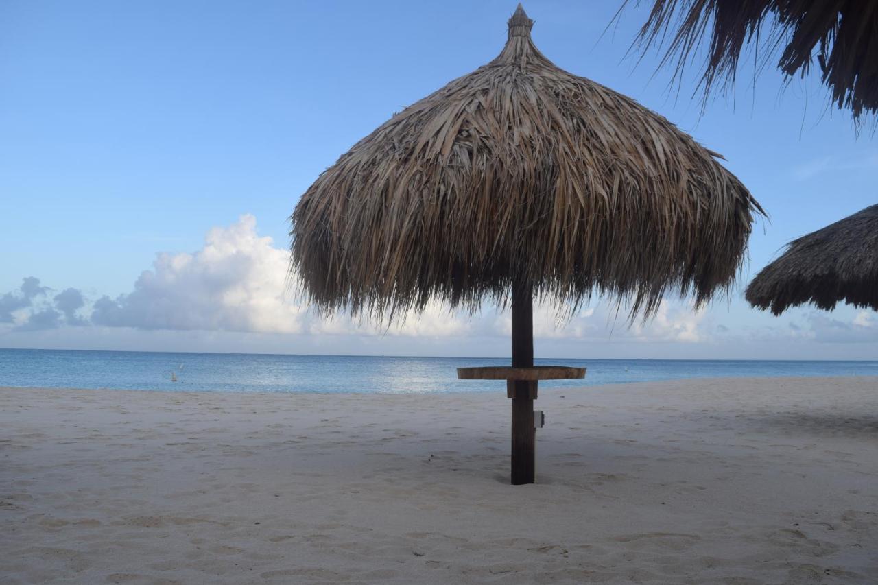 Arena Condos Aruba - Few Steps From Eagle Beach! Palm Beach Exterior foto